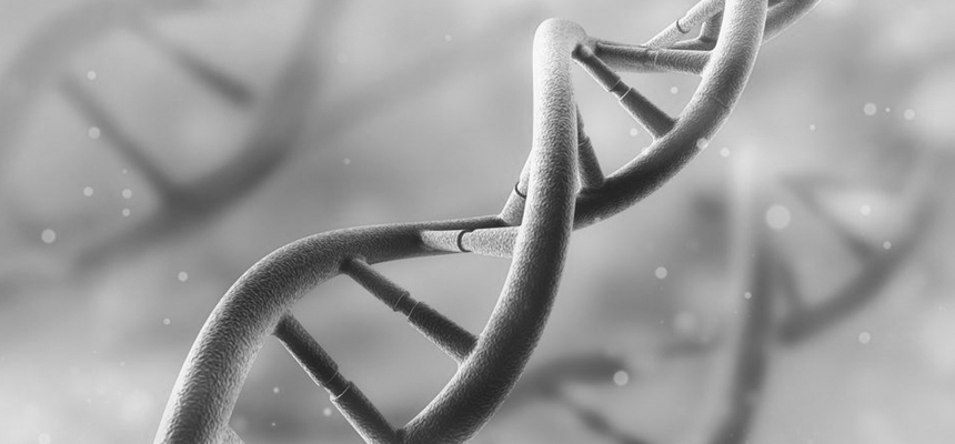 A New Method That Rectifies Cancer