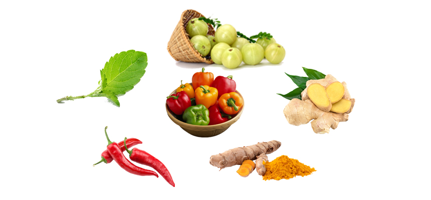 Fight Swine Flu Virus with Ayurveda