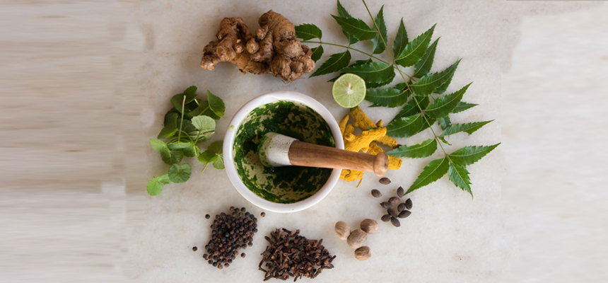 National Ayurveda Day on 5th November 2018