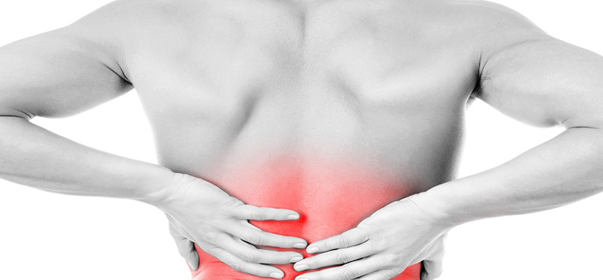 Mind your Back before it gives you pain