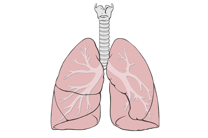 Non-Pharmacological Management of Chronic Obstruction Pulmonary Disease (COPD)