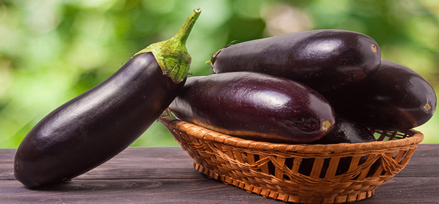 POWERFUL PROPERTIES OF THE HUMBLE BRINJAL