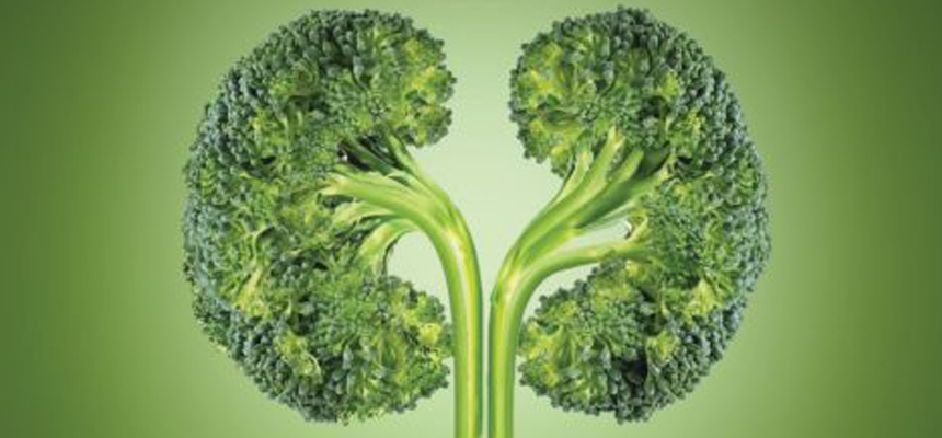 KIDNEY HEALTH FOR EVERYONE EVERYWHERE 