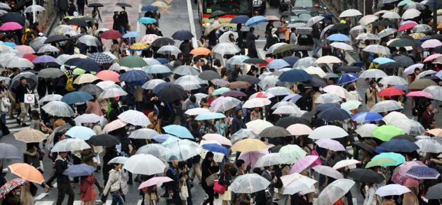 Stay away from common monsoon diseases 