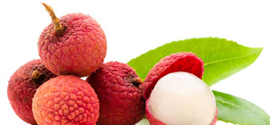 DOES CONSUMPTION OF LITCHI CAUSE ENCEPHALITIS