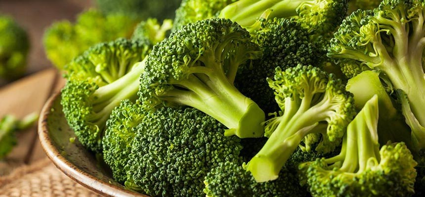 Quick Facts about Broccoli