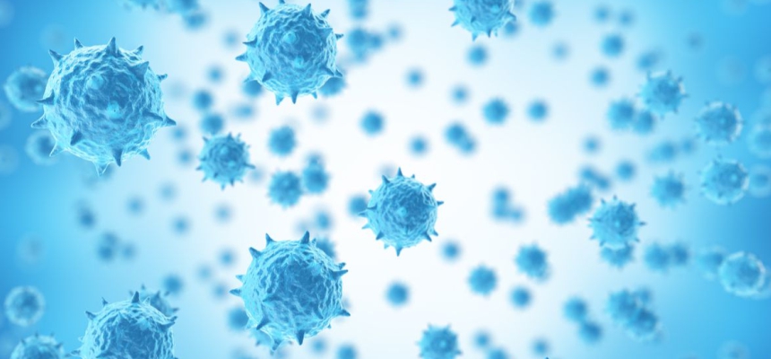 Key Facts about Influenza