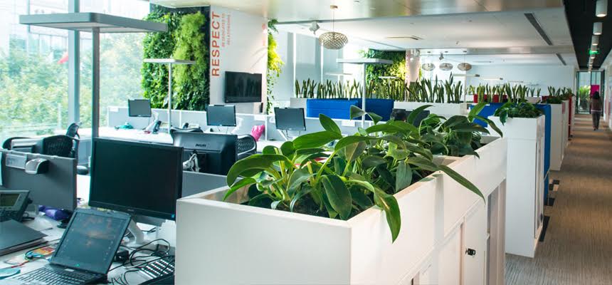 World Environment Day: A healthy way to connect people with nature 