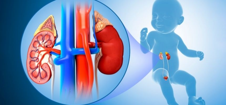 PAEDIATRIC UROLOGY,  WHAT PARENTS NEED TO KNOW