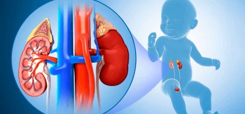 PAEDIATRIC UROLOGY WHAT PARENTS NEED TO KNOW