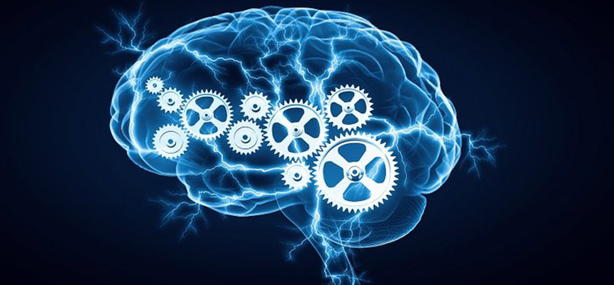 Carotid Endarterectomy â€“ A surgery to reduce the risk to stroke