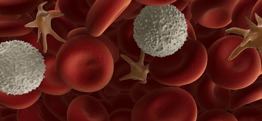 New findings about mixed lineage leukemia