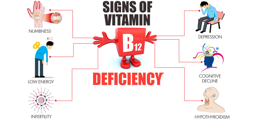 Fulfill The Need of Vitamin B12
