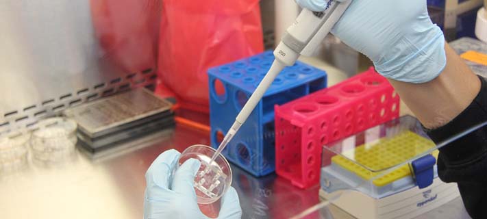 IIT Roorkee develops drug resistance technique 