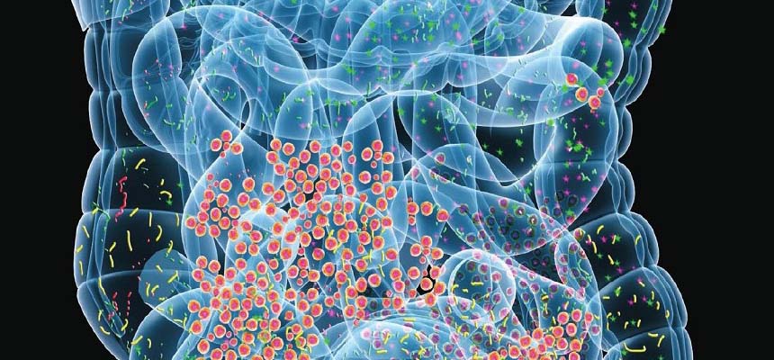 H pylori in 75 per cent of Indian population