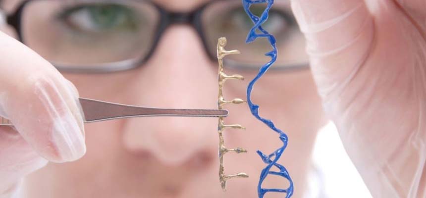 Cancer is a preventable condition