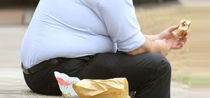 Obesity A Realty Check