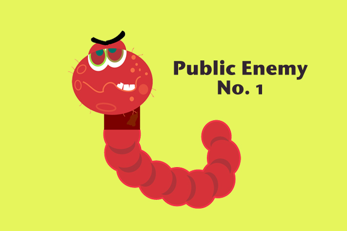 Tapeworm Troubleâ€”A Rare Case Of Hydatid Cysts In The Heart