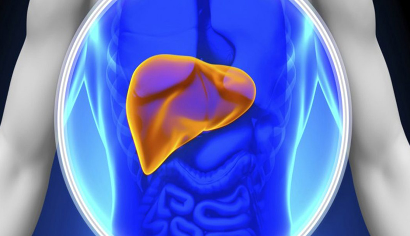 For a healthy liver, early diagnosis is crucial 