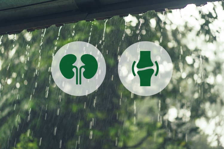 A Steep Rise In Renal And Joint problems During Monsoon