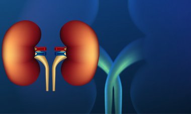 ALL YOU NEED TO KNOW ABOUT HYPERTENSION & CHRONIC KIDNEY DISEASES