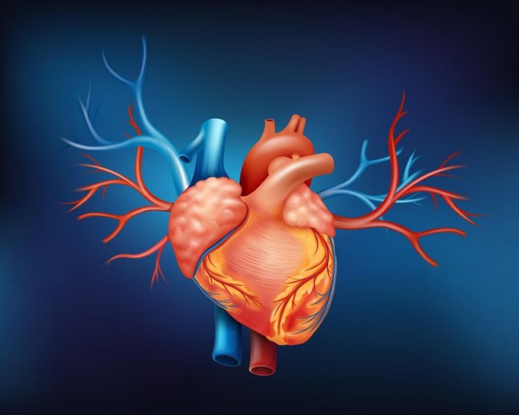 Young lady suffers from life-threatening Ventricular Fibrillation - KIMS Doctors Treat Successfully