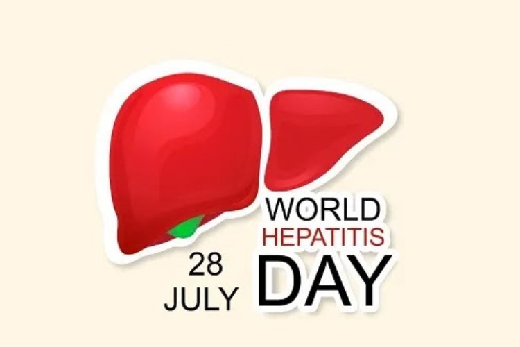 World Hepatitis Day - 28th July 2023   Viral Hepatitis & Pregnancy