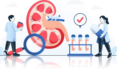 80%  Cases Of End-Stage Kidney Disease Are Caused By Diabetes: Warn Doctors