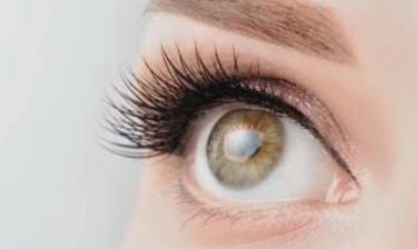 Spotlight on Hereditary Eye Diseases An L V Prasad Eye Institute Awareness Drive