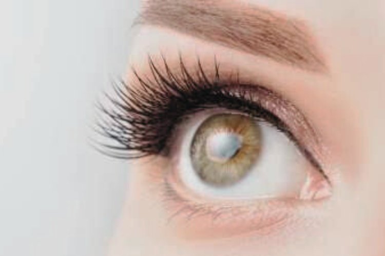 Spotlight on Hereditary Eye Diseases An L V Prasad Eye Institute Awareness Drive