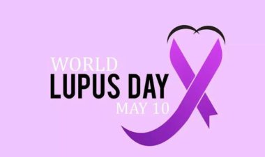 Understanding the Complexity of Lupus Disease on the World Lupus Day