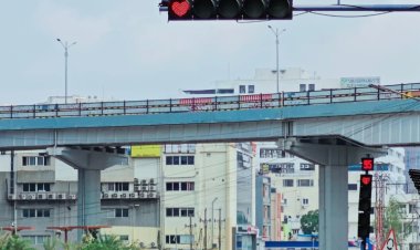 Do you know why there are heart-shaped red traffic lights?