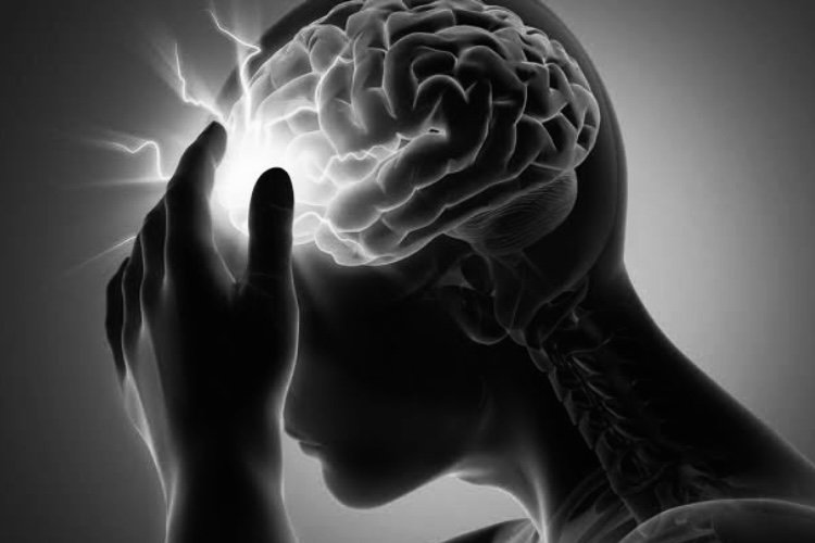 Seasonal Variations and Their Impact on Brain Stroke Risk