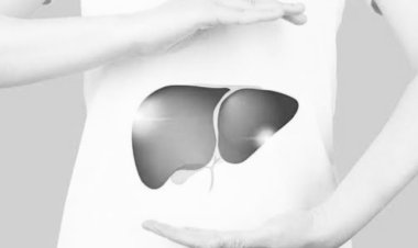 Liver Health 101- Diet, Lifestyle, and Disease Prevention